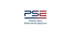 Logo Polskich Sieci Elektroenergetycznych